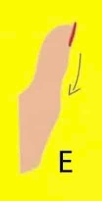 Το σχήμα του αντίχειρά σου αποκαλύπτει πολλά για την προσωπικότητά σου 5 2026 04 07 01.12.50