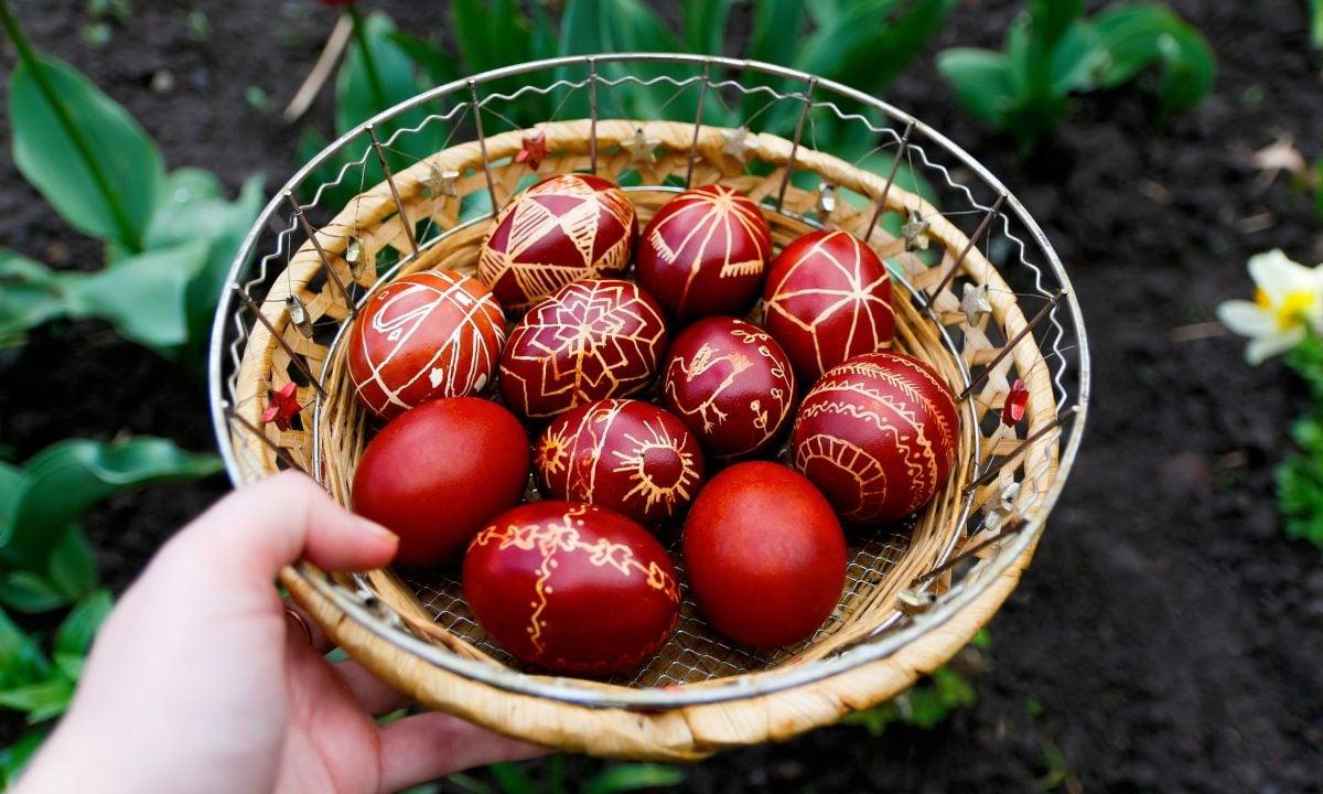 6c66d02a vapsimo aygon