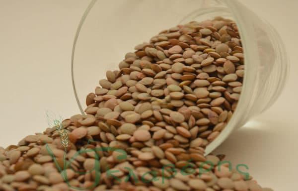 15 από τις πιο ισχυρές καθαρτικές τροφές στον κόσμο που θα σας κάνουν να πάτε γρήγορα στην τουαλέτα 3 fakes chondres canada 600x384 1