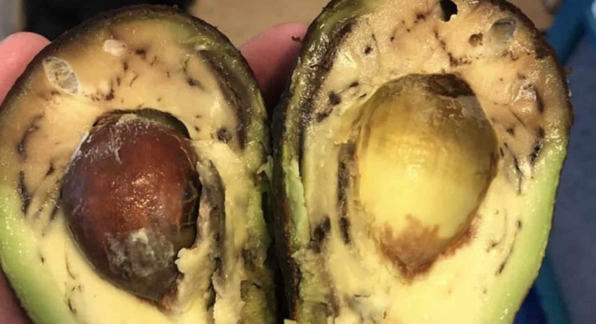 stigmiotypo othonis 2026 04 18 02.00.24