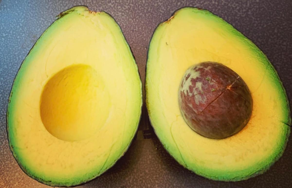 stigmiotypo othonis 2026 02 21 02.54.10