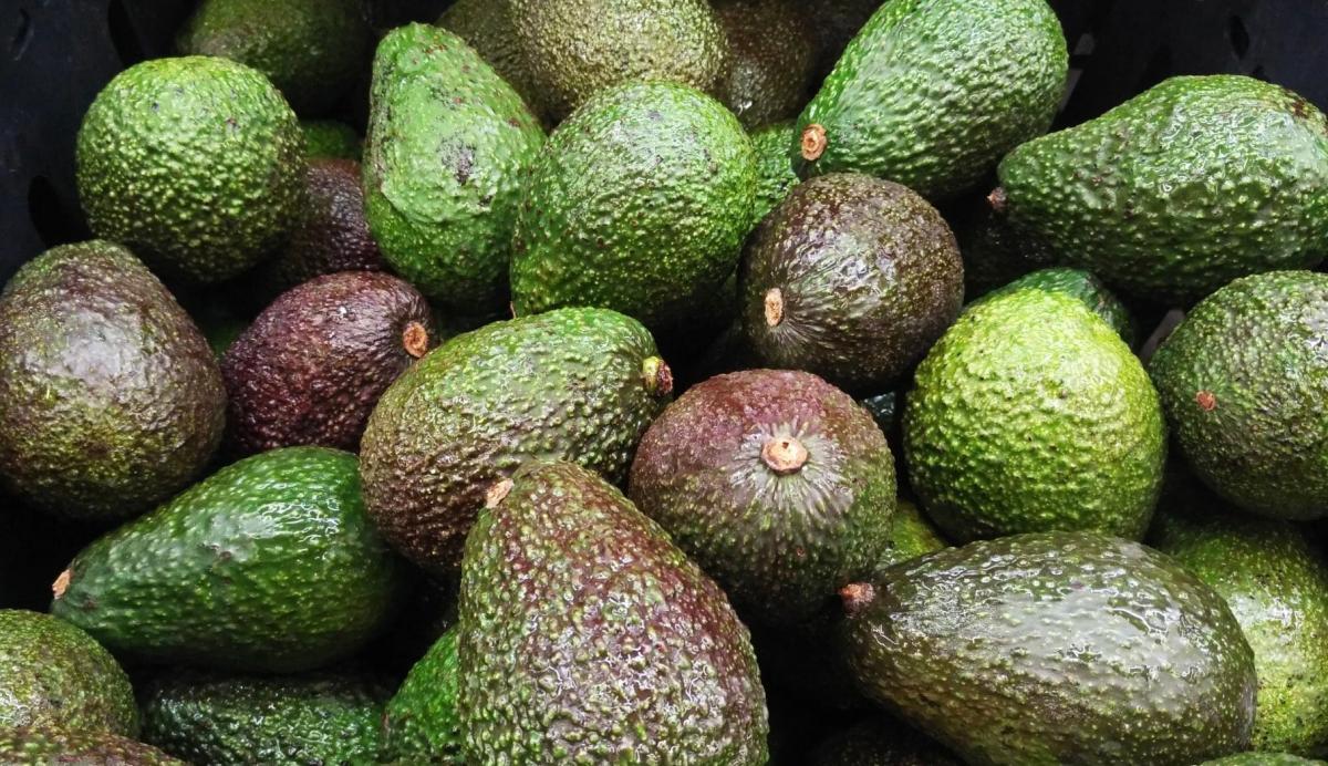 stigmiotypo othonis 2026 02 21 02.54.56