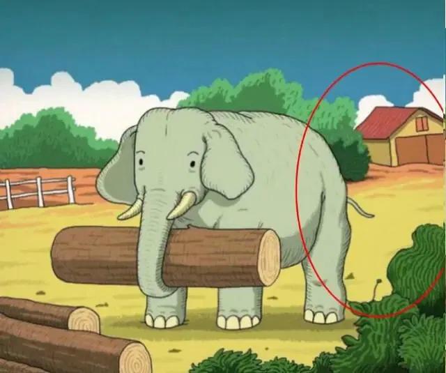 636568bcd61f1a32e46345ef.jpg 11zon