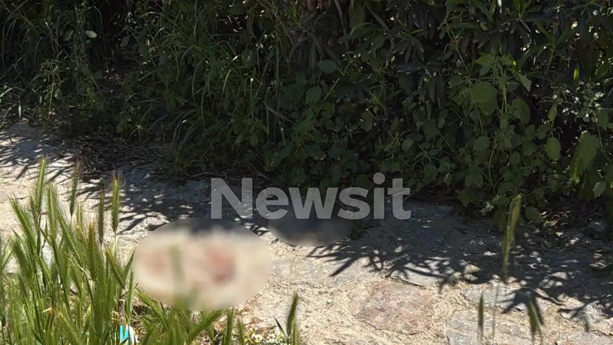 filopapou 1200x675 1