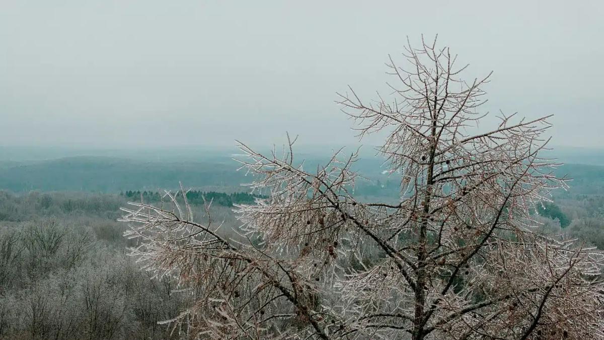 1440x810 cmsv2 173e69d6 6d69 5c4d b42d 7634c50c9a15 9644440