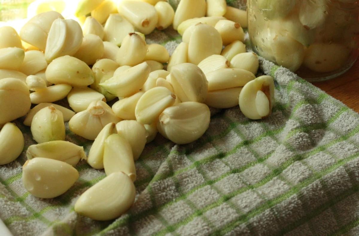 stigmiotypo othonis 2025 09 14 03.25.01