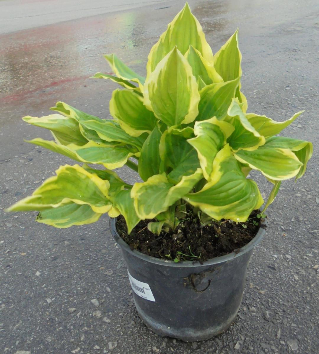 74168dbe 2d9b 4c26 8024 70726a453fc5 scaled