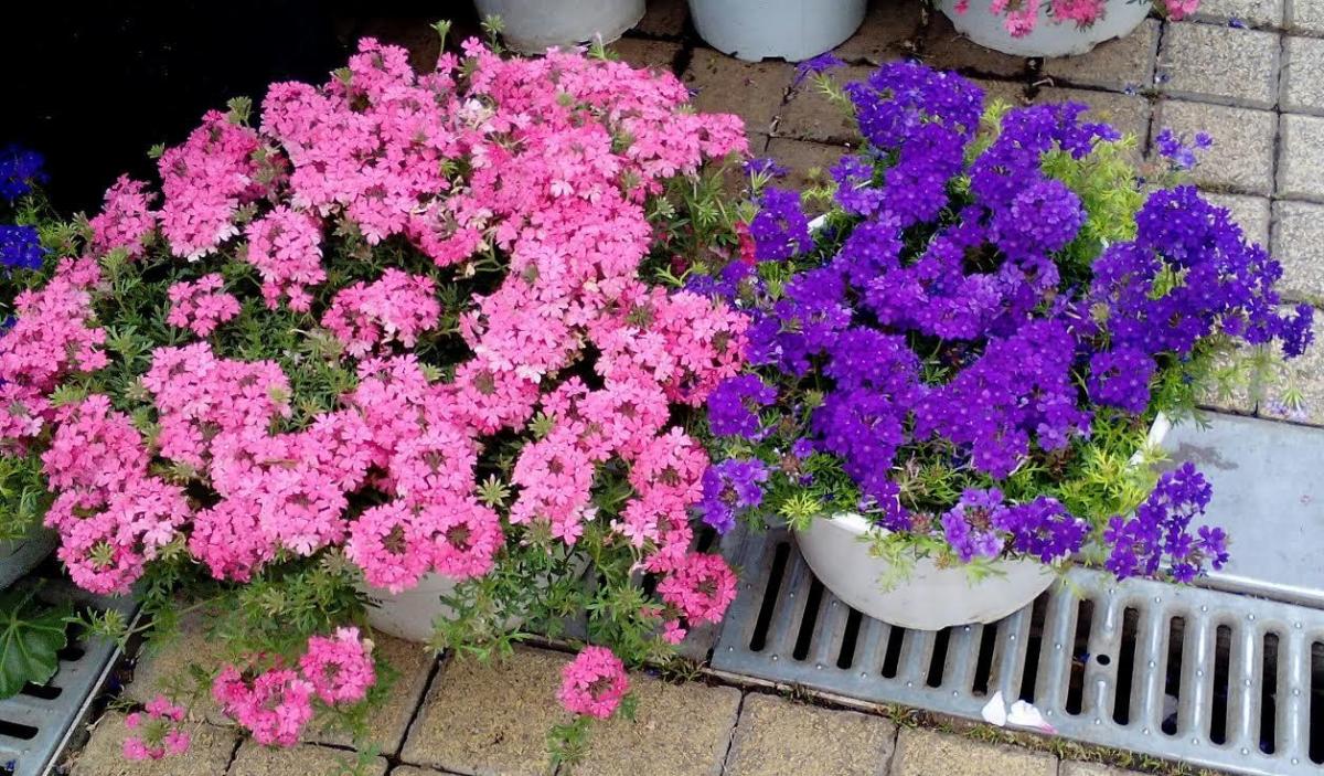 29f1332c cd9f 4a30 a046 742ca6fa8164