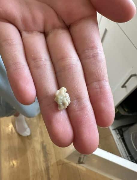 485310072 1048653190619031 7723886070413648197 n