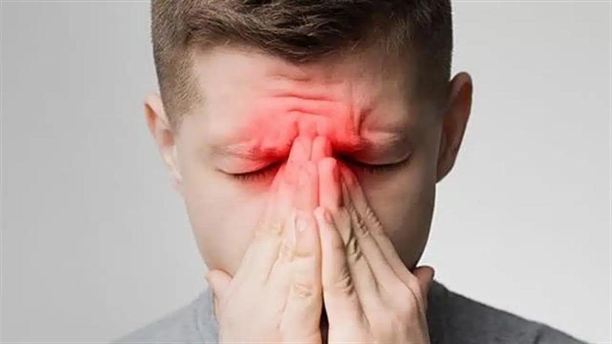 52135 sinus 660.jpg