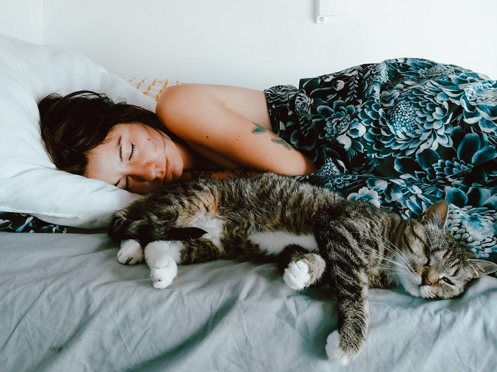 2023 02 16 should your cat sleep with you hero
