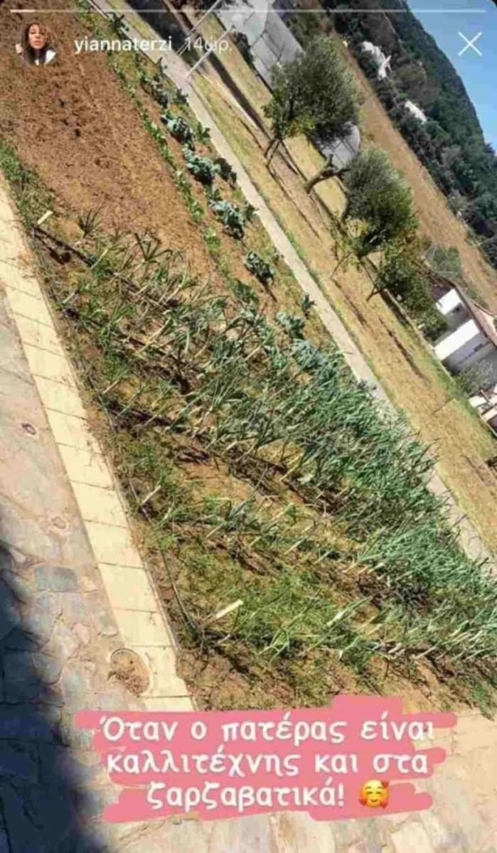crop=