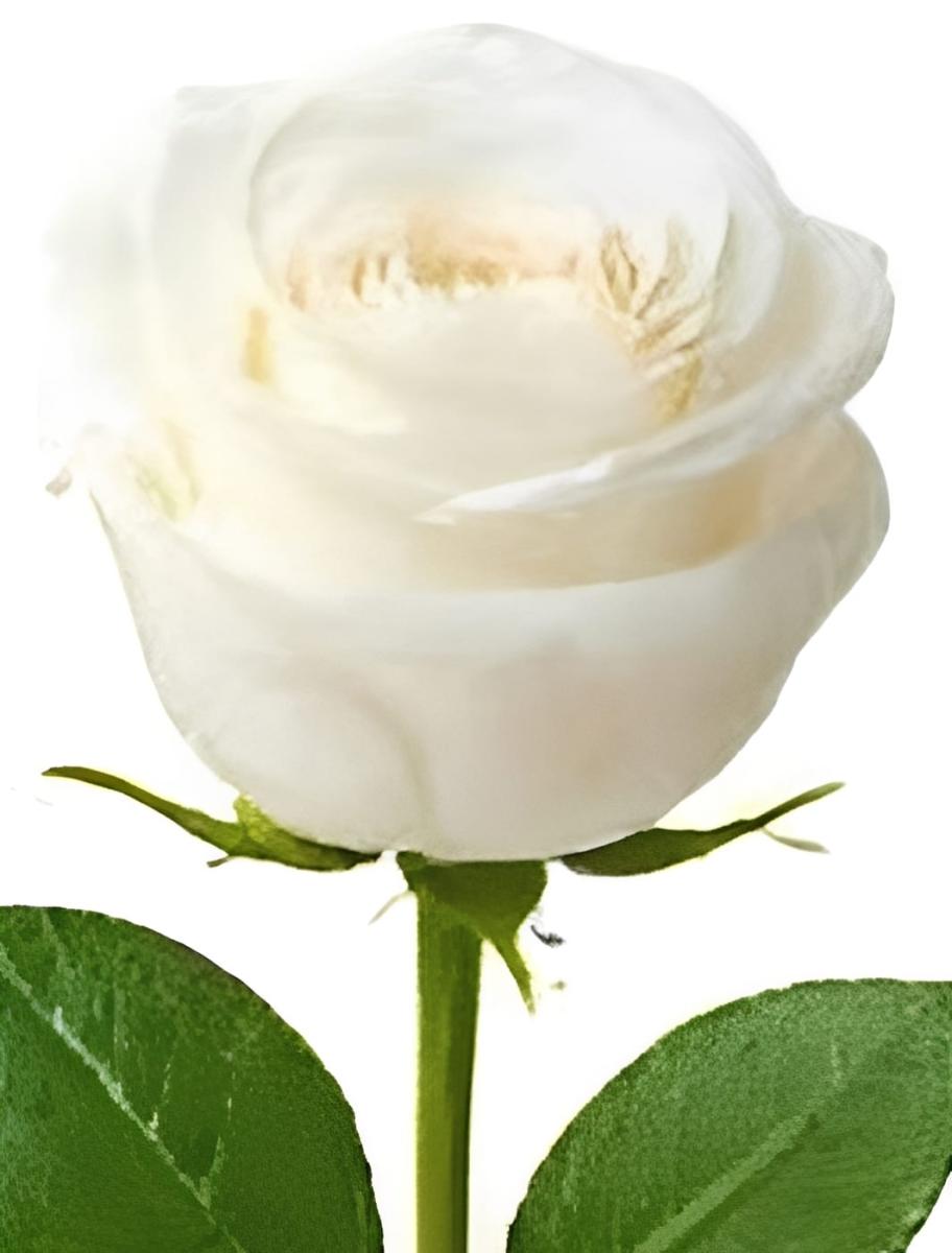 Διάλεξε 5