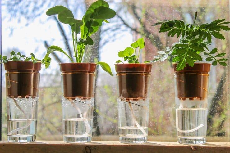 wick watering plants pots glasses stand shelf window 71756 426
