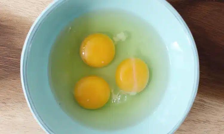 field image egg chalaza bowl 2000 54751bc86b924eaeaf18ce4fe63cd637