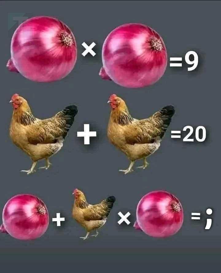 333 7