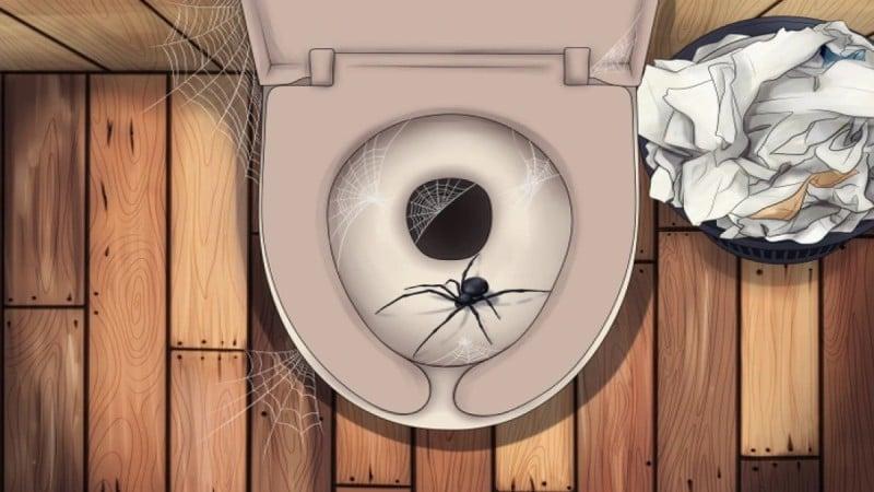 5 πλάσματα που μπορούν να σέρνονται μέσα από την τουαλέτα σας και πώς να τα σταματήσετε 3