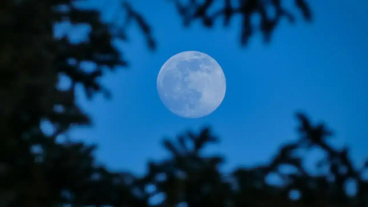b792ed05 blue moon