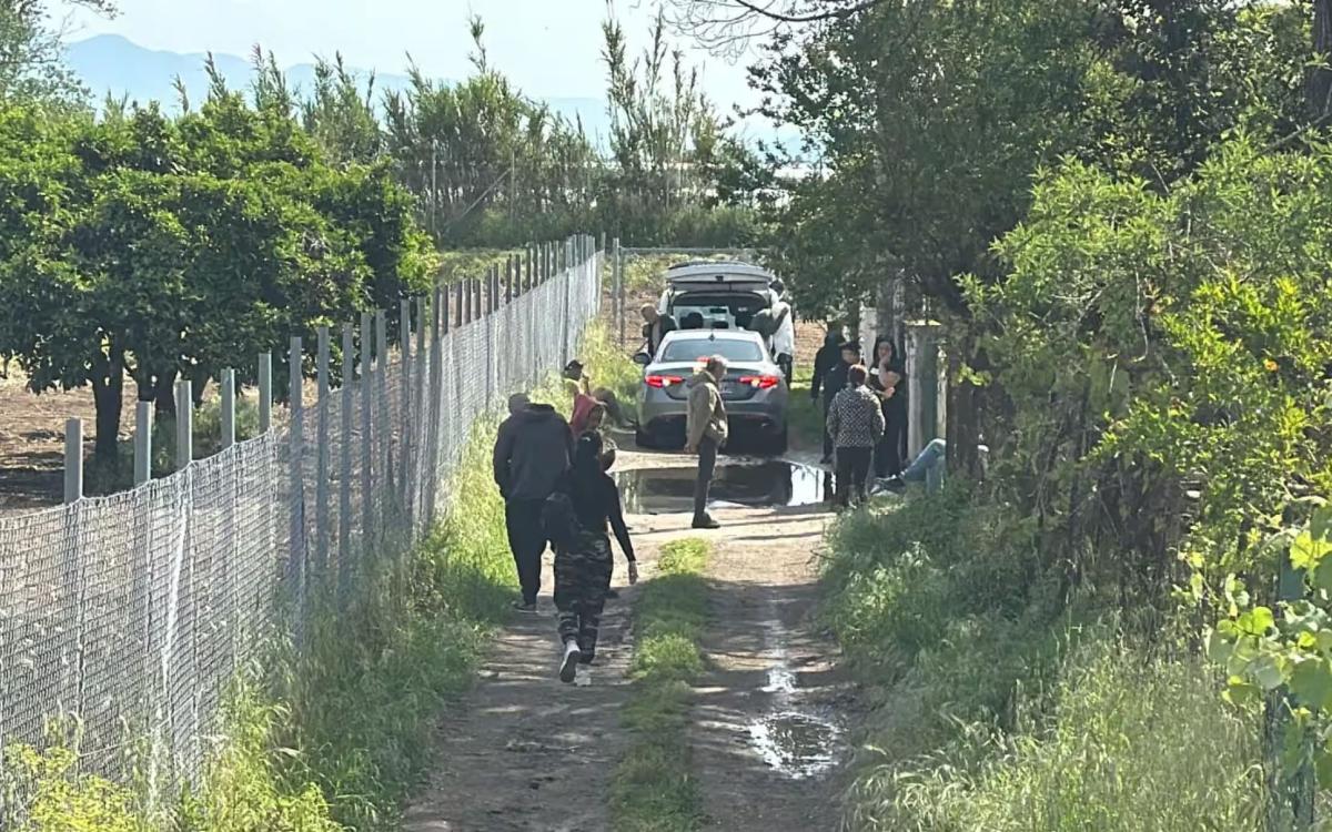 Φpίκη: Πίτμπουλ κατασπάpαξαν μωpάκι μόλις 13 μηνών 1 img