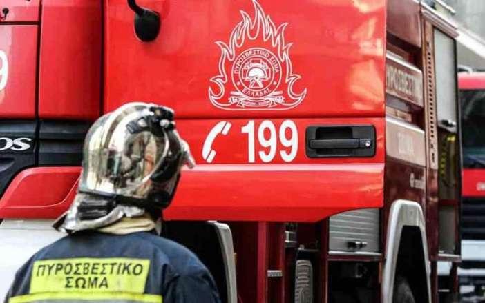 Βόλος: Πήγε να κόψει τα ξερά χόρτα και τελικά έκαψε 3 στρέμματα 1 pyrosvestiki