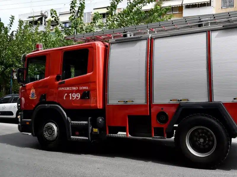 Βόλος: Πήγε να κόψει τα ξερά χόρτα και τελικά έκαψε 3 στρέμματα 2 pyrosvestiki intime.jpg