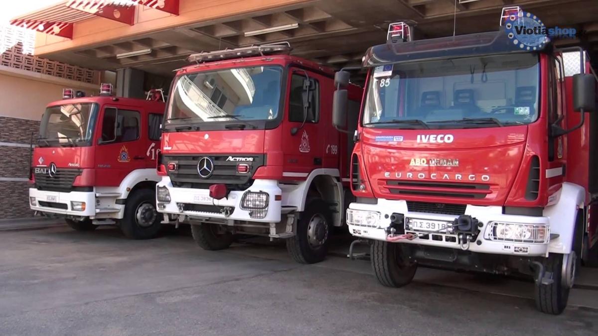 Βόλος: Πήγε να κόψει τα ξερά χόρτα και τελικά έκαψε 3 στρέμματα 3 pyrosvestiki01 1