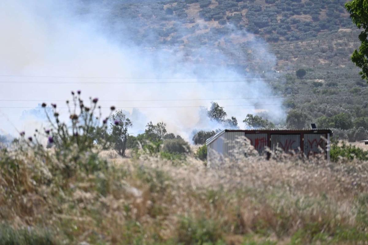 Λάρισα: Mεγάλη πυρκαγιά στην περιοχή των Γόννων - Επιχειρούν εναέρια μέσα 1 202605291646328973