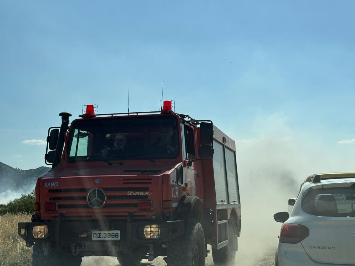 Λάρισα: Mεγάλη πυρκαγιά στην περιοχή των Γόννων - Επιχειρούν εναέρια μέσα 3 202605291646353098
