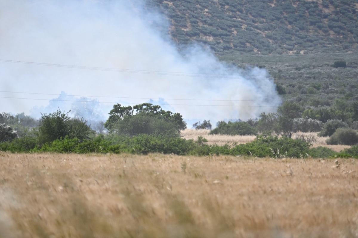 Λάρισα: Mεγάλη πυρκαγιά στην περιοχή των Γόννων - Επιχειρούν εναέρια μέσα 4 202605291646369471
