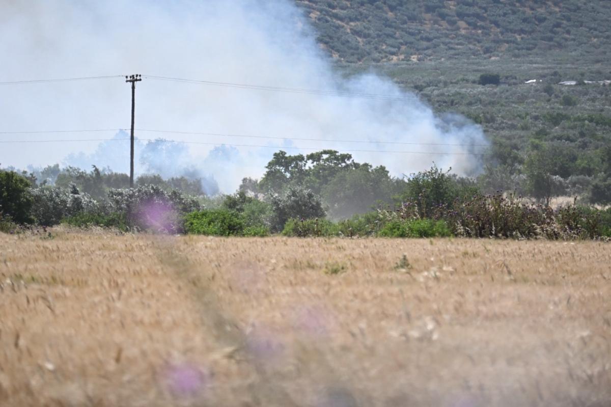 Λάρισα: Mεγάλη πυρκαγιά στην περιοχή των Γόννων - Επιχειρούν εναέρια μέσα 6 202605291646382837