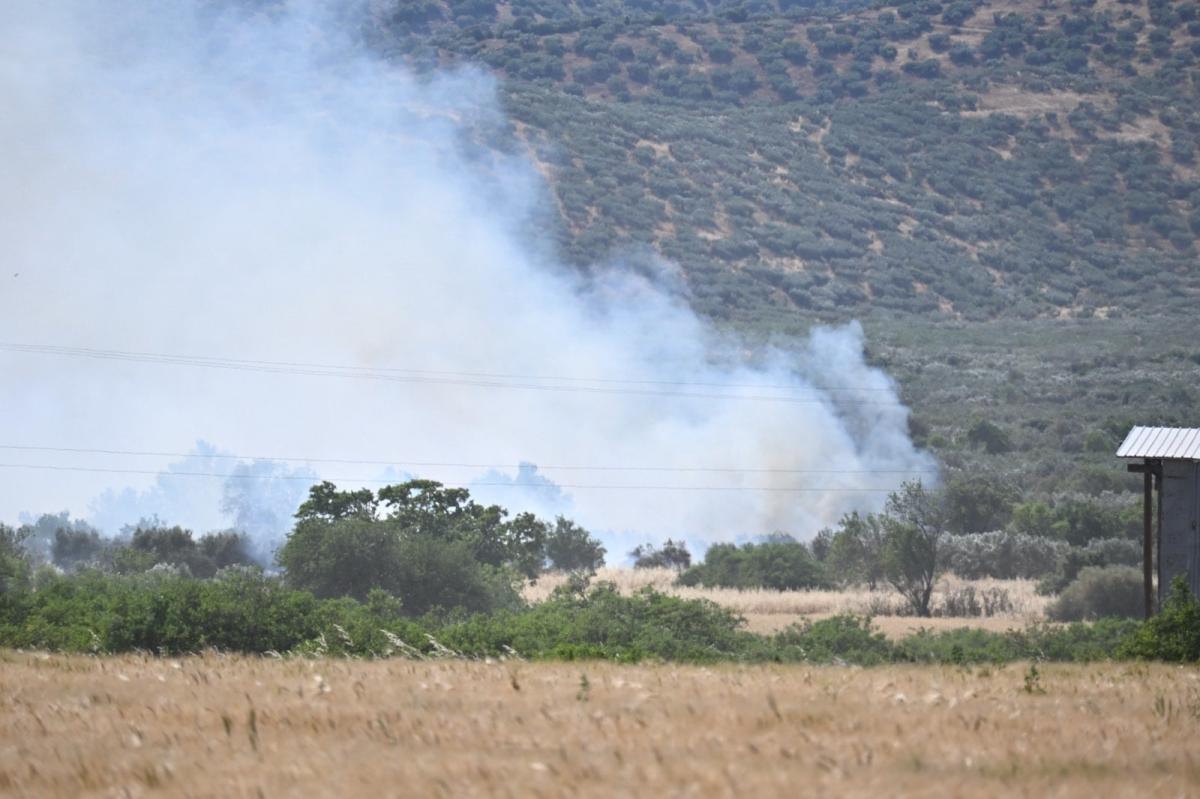 Λάρισα: Mεγάλη πυρκαγιά στην περιοχή των Γόννων - Επιχειρούν εναέρια μέσα 7 202605291646392897