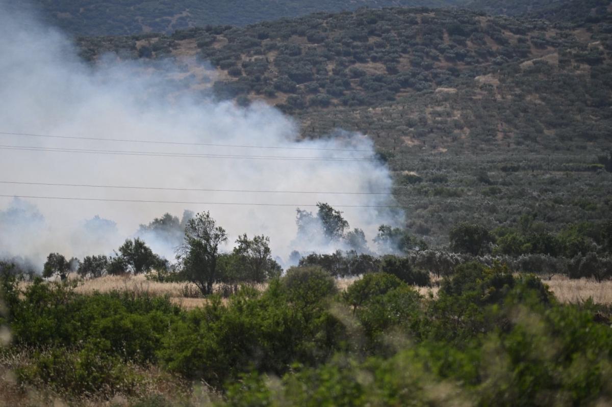 Λάρισα: Mεγάλη πυρκαγιά στην περιοχή των Γόννων - Επιχειρούν εναέρια μέσα 10 202605291646424285