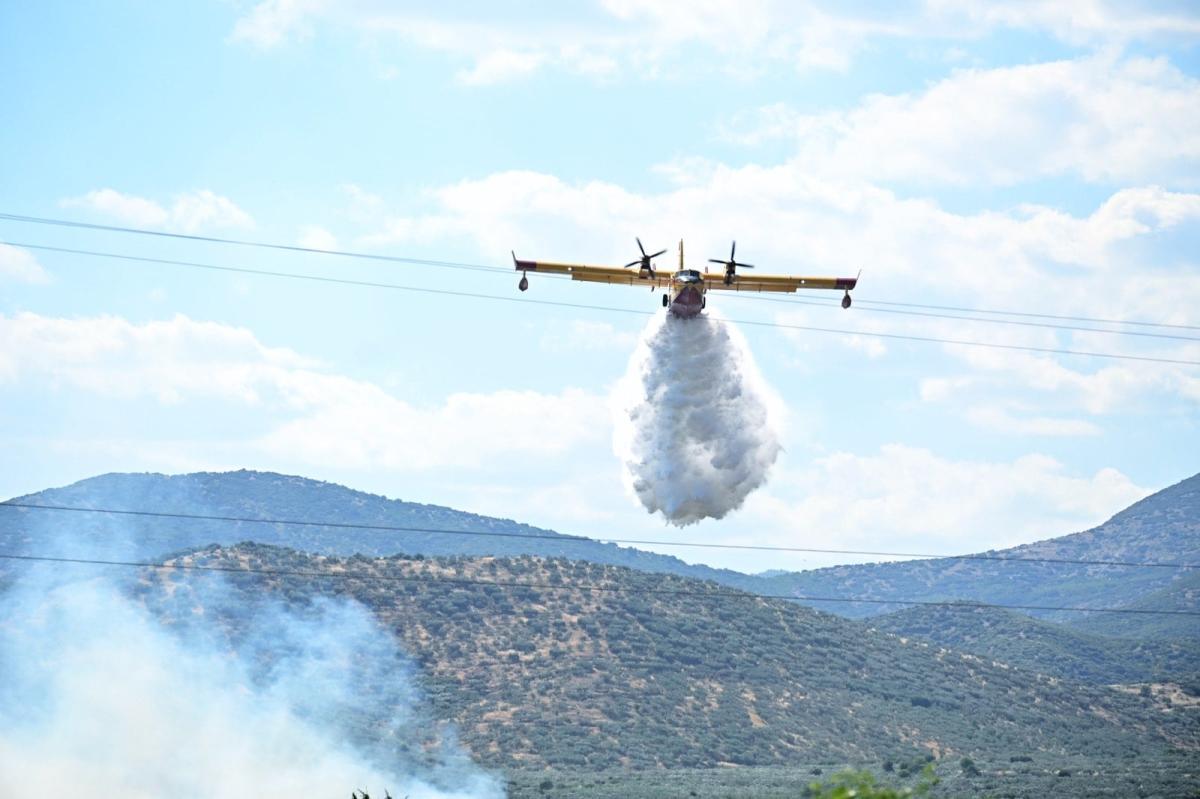 Λάρισα: Mεγάλη πυρκαγιά στην περιοχή των Γόννων - Επιχειρούν εναέρια μέσα 14 202605291651039486