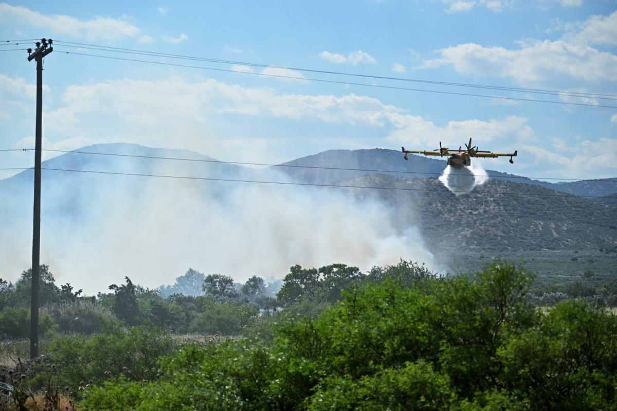 Λάρισα: Mεγάλη πυρκαγιά στην περιοχή των Γόννων - Επιχειρούν εναέρια μέσα 15 202605291651049217