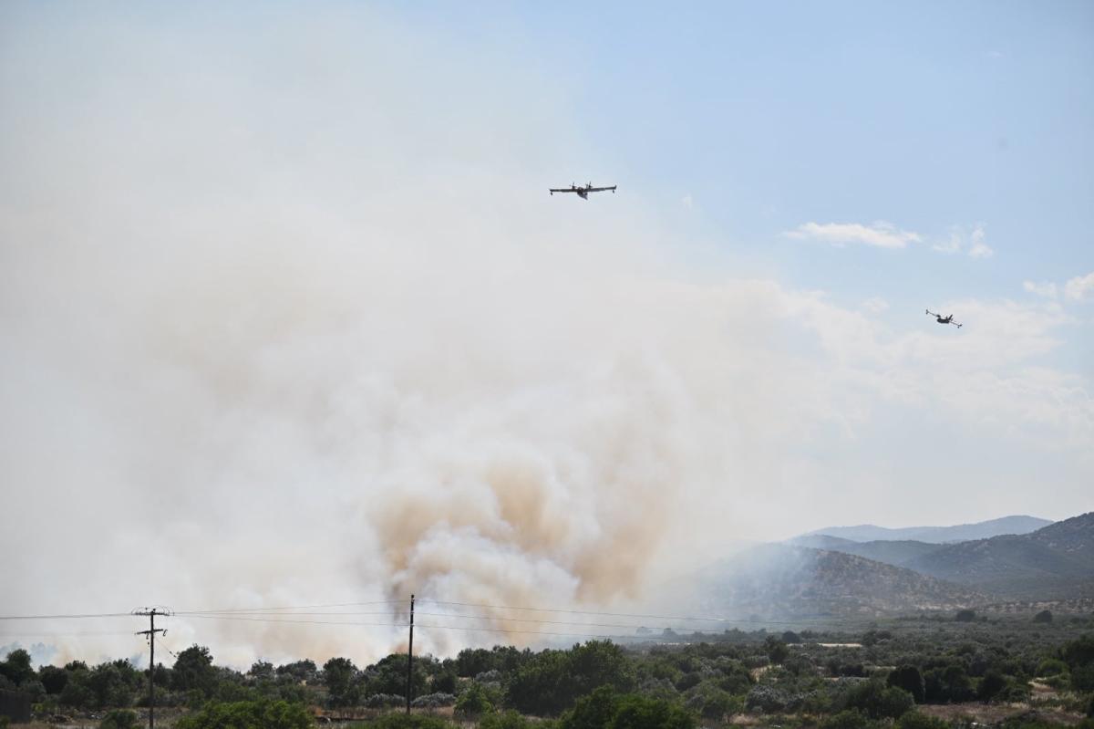 Λάρισα: Mεγάλη πυρκαγιά στην περιοχή των Γόννων - Επιχειρούν εναέρια μέσα 24 202605291751178178