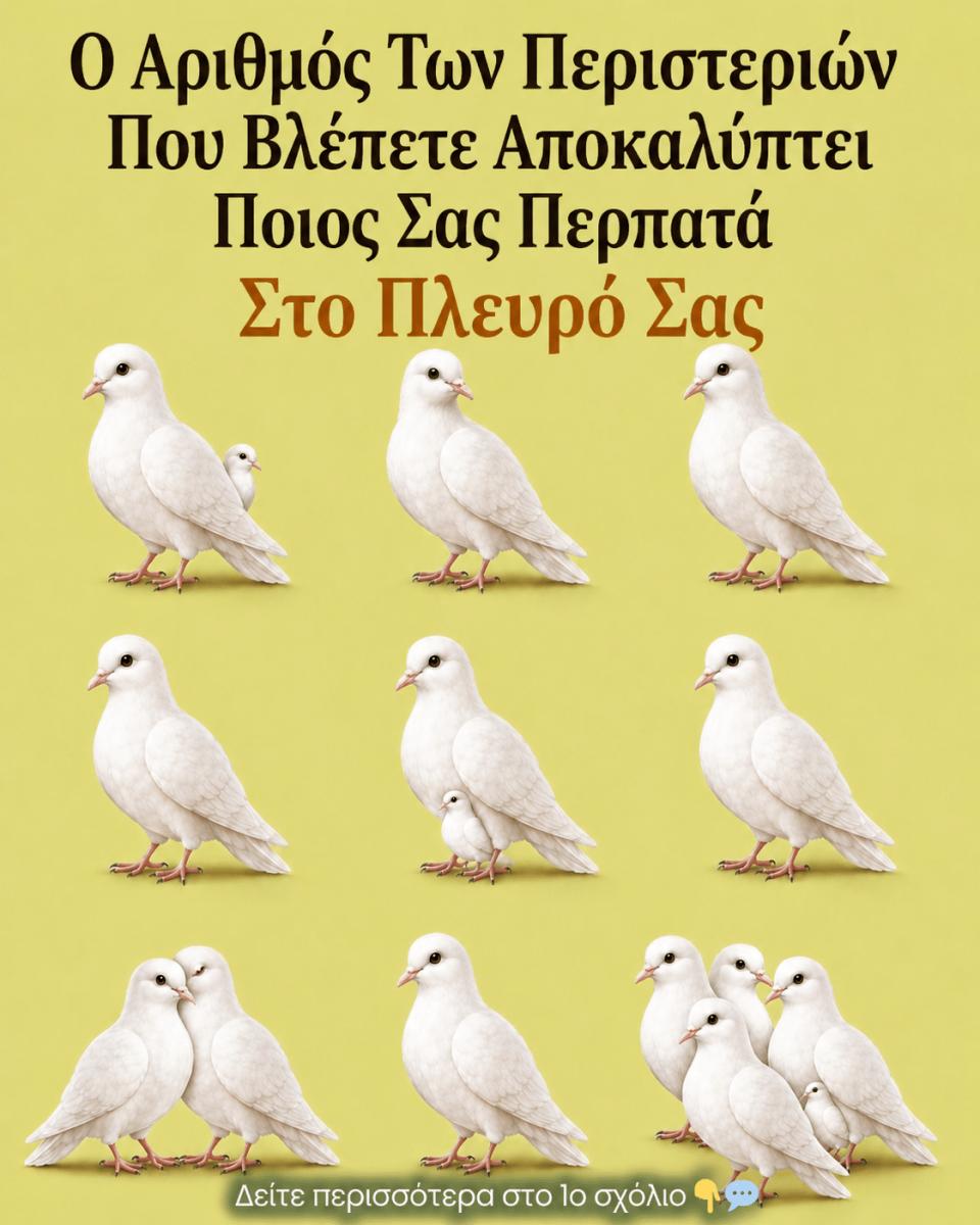 56efa80c 805f 4cd2 850b 16d8c01e4e61