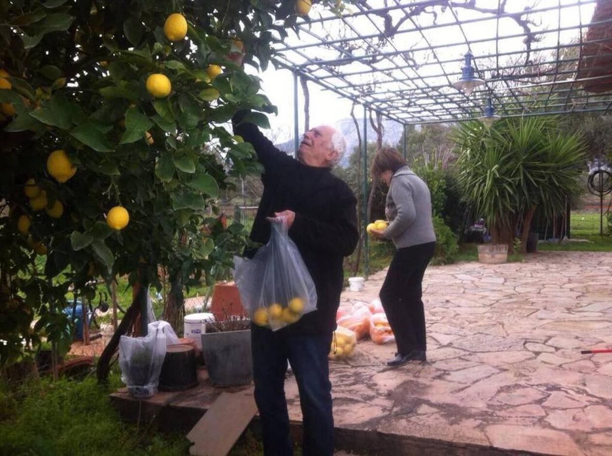 Μαθεύτηκε 60 χρόνια μετά: Γι’ αυτό «εξαφάνισαν» από την τηλεόραση την κορυφαία ταινία του ελληνικού σινεμά 11 nikos xanthopoylos to paidi toy laoy i katagogi i gynaika tis zois toy oi 2 gamoi ta 4 paidia i arrostia kai to telos 9
