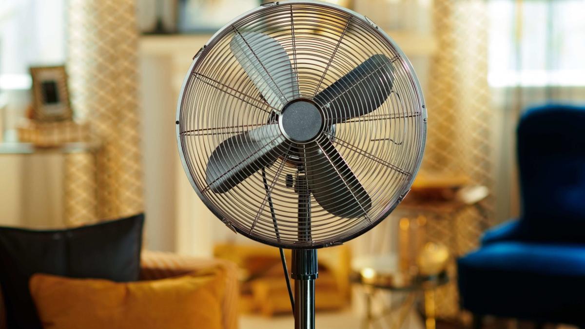 Πως να καθαρίσετε έναν ανεμιστήρα χωρίς να τον αποσυναρμολογήσετε 2 39a3d255355e scaled