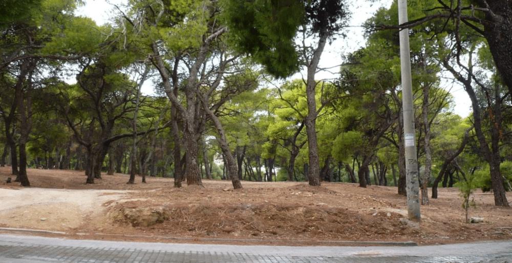Δεν το ξέρει ούτε βέρος Αθηναίος: Η πανέμορφη περιοχή της Αθήνας που λεγόταν Μαγκουφάνα 2 20230804 64ccc7f44a0f3