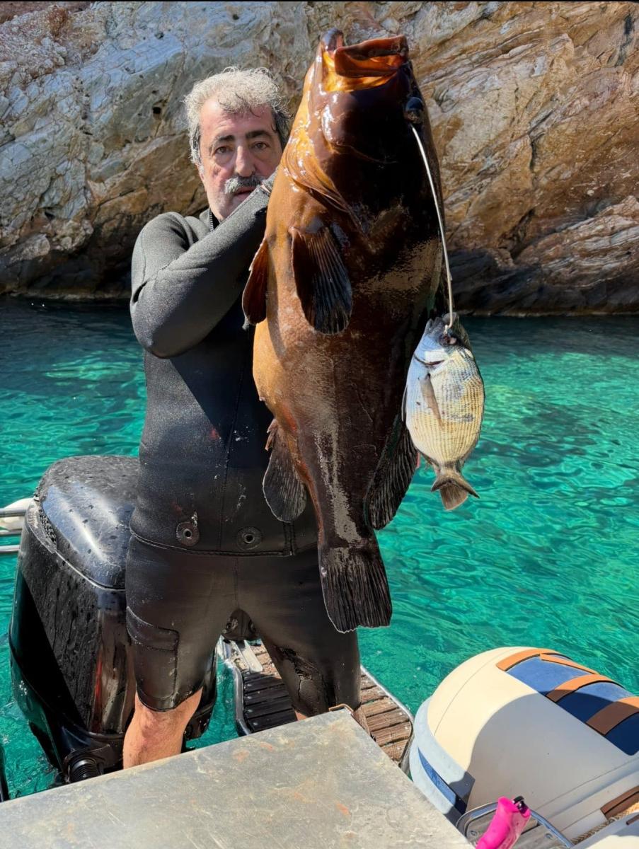 Ο Παύλος Πολάκης στέλνει μήνυμα στον Τσίπρα με... ροφό 13,5 κιλών: «Εμείς δεν ψαρεύουμε σε θολά νερά» 1 713563830 4303711616538953 1624935427030088233 n