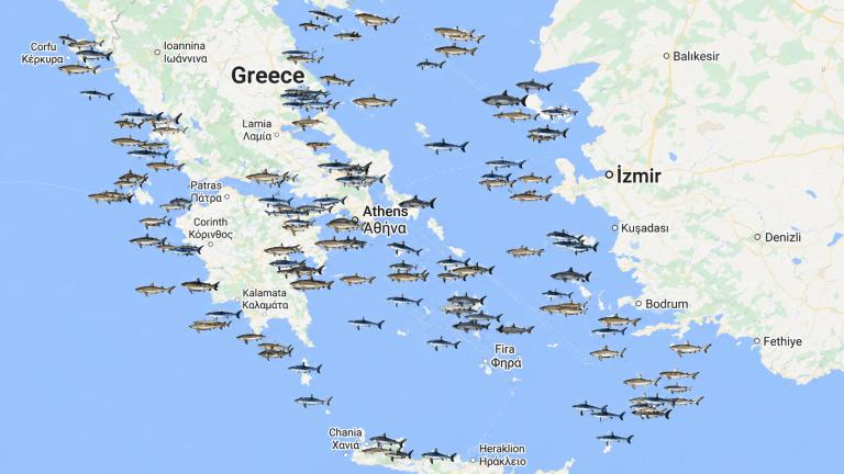 xarths