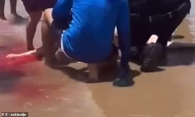 Τpομακτικό βίντεο: Καρχαρίας επιτέθηκε σε λουόμενους - «Βάφτηκε» κόκκινη η θάλασσα 5 86947481 13602381 image m 12 1720141829883