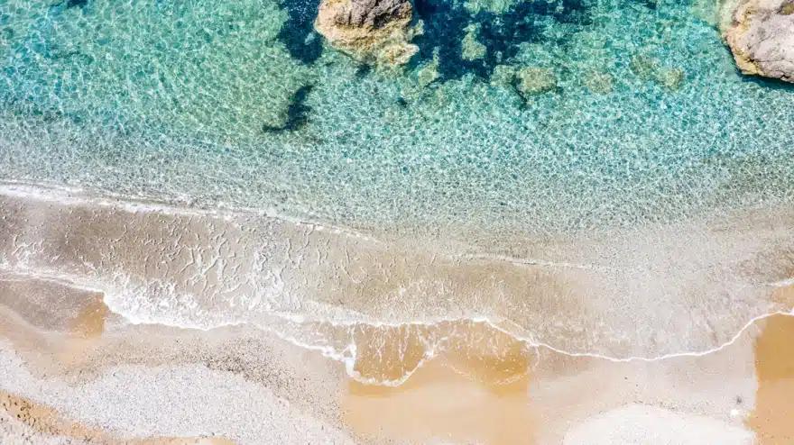 Τι να κάνετε αν σας δαγκώσει λαγοκέφαλος - Οι τέσσερις οδηγίες από τον Ερυθρό Σταυρό 2 arthrou mple shmaia paralia