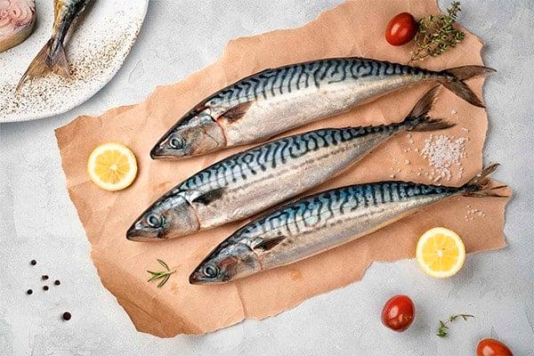 Τα ψάρια με την περισσότερη περιεκτικότητα σε υδράργυρο 5 skumbrija v medicine