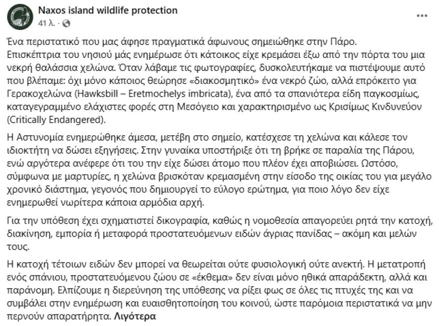 Νεκρή χελώνα από τα σπανιότερα είδη του κόσμου βρέθηκε κρεμασμένη ως «διακοσμητικό» έξω από σπίτι στην Πάρο 2 paros