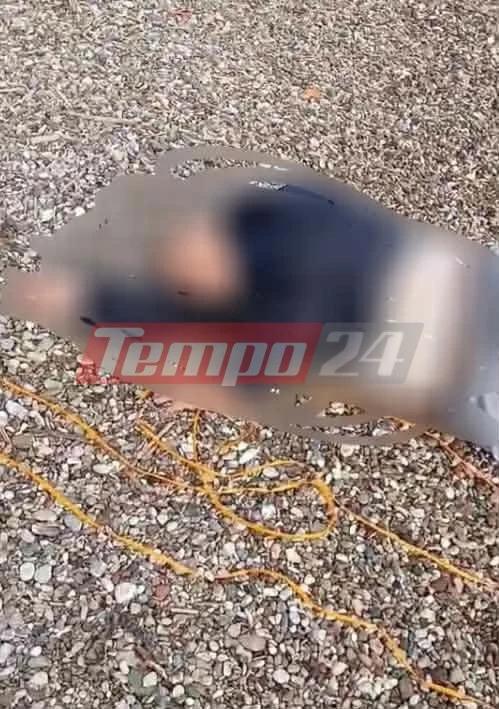 Έσωσαν 90χρονο που επιχείρησε να βάλει τέλος στη ζωή του μπαίνοντας στη θάλασσα – Είχε δέσει βάρος στα πόδια του 2 3 9