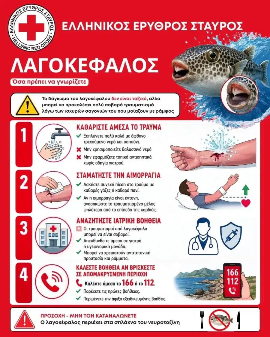 Χάρτης με τις παραλίες που έχει εμφανιστεί - Πώς θα δώσουμε τις πρώτες βοήθειες 2 1131756737orig