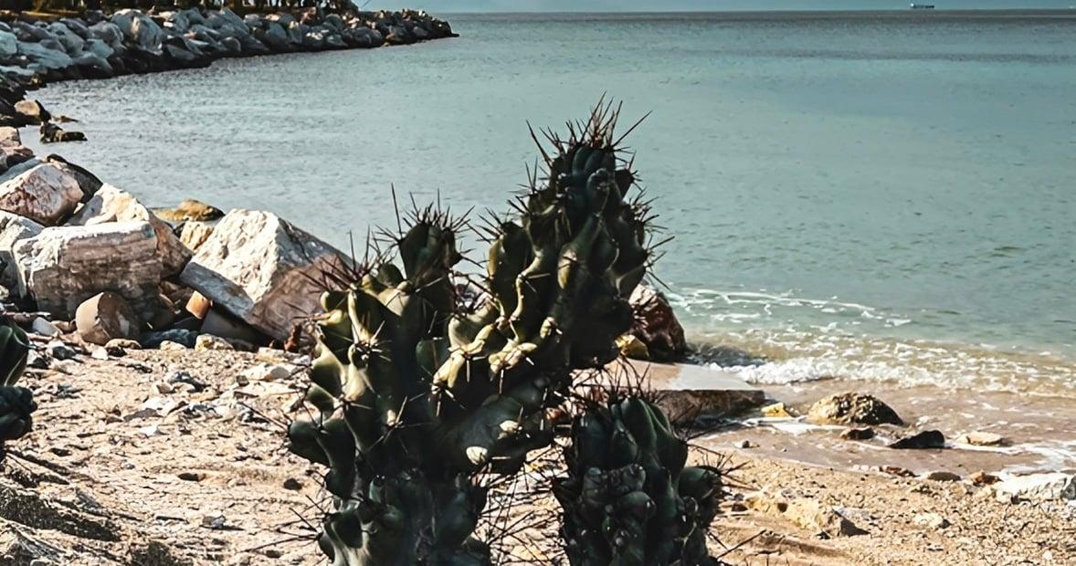 Μην μπείτε καλύτερα στη θάλασσα εκεί - Οι 29 παραλίες της Αττικής που χαρακτηρίστηκαν ακατάλληλες 1 333 15