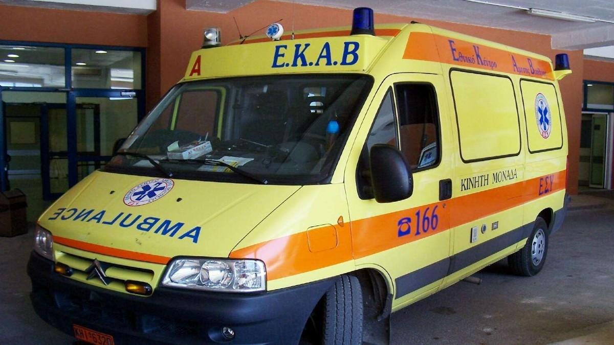 Τραγωδία στα Ψαχνά: 21χρονη έχασε τη ζωή της λίγη ώρα μετά από τσίμπημα σφήκας