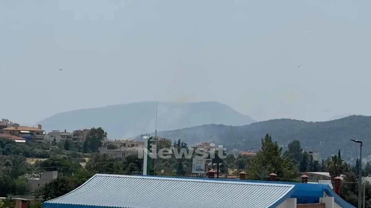 Φωτιά στα Σπάτα κοντά στο κτήμα Νάσιουτζικ 2 fotia spata 1200x675 1